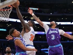 NBA Malik Monk Anthony Davis Julius Randle Lakers Knicks