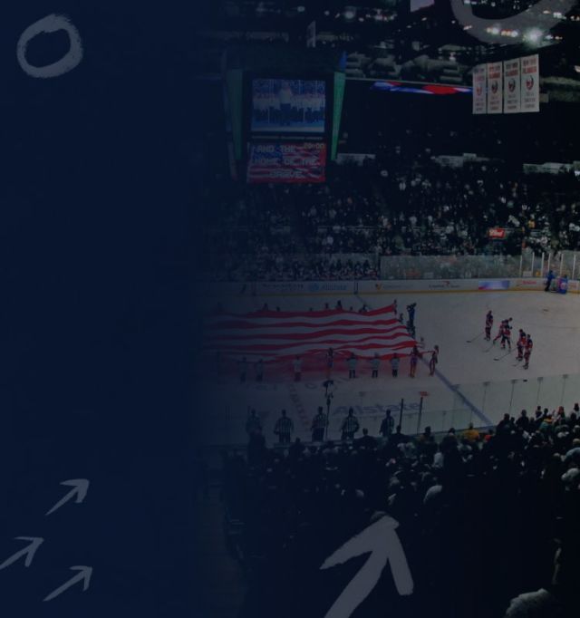 Hero Mobile Hockey NHL